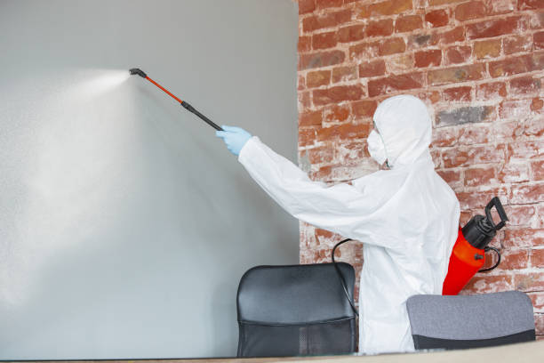 Best Airborne Mold Testing  in Cleveland, FL