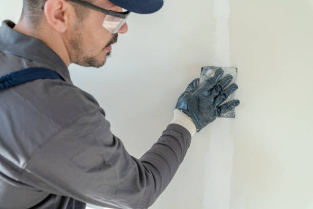 Best Mold Documentation for Insurance Claims  in Cleveland, FL