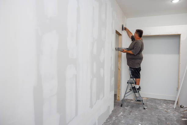 Best Environmental Consulting for Mold Prevention  in Cleveland, FL