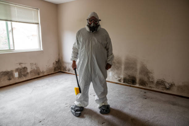 Best Airborne Mold Testing  in Cleveland, FL